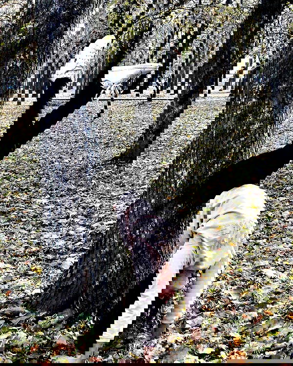 kkulakovaa image ~ Altpins