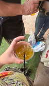 datgal.neta Altpins Profile Picture