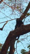 carolinezalog Altpins Profile Picture