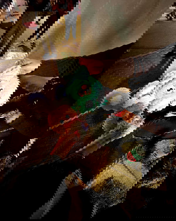 jtilb2 image ~ Altpins