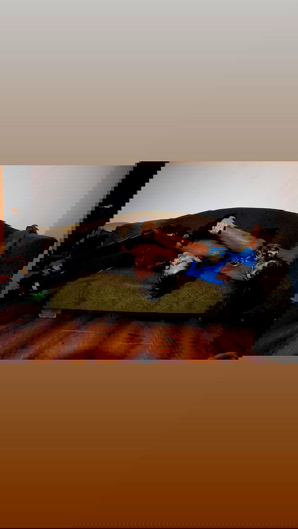 electrixjuggle electrixjuggle archive image