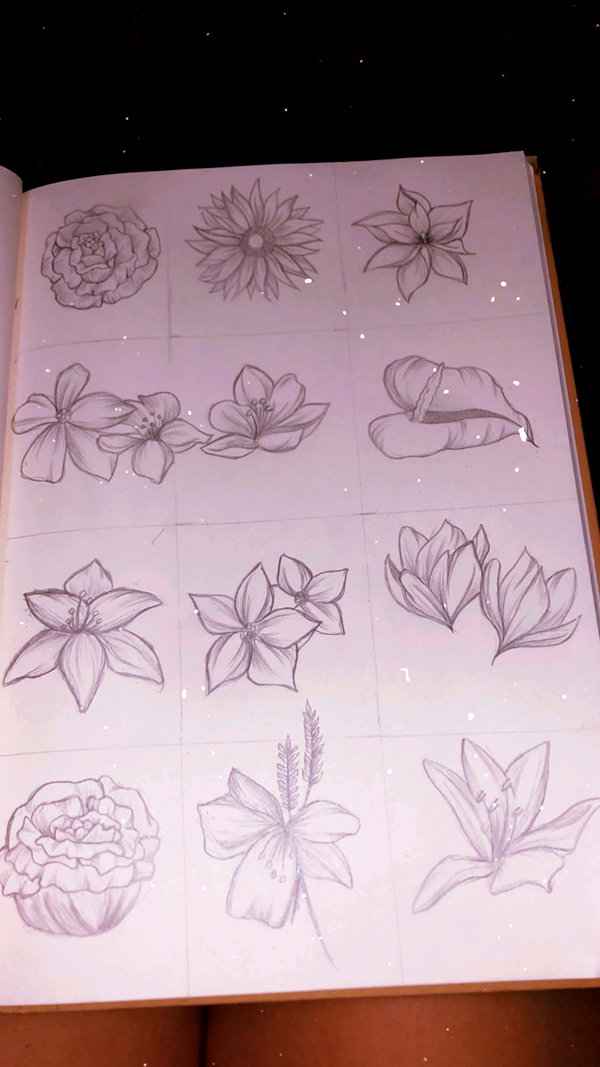 hilla.sela hilla.sela archive image