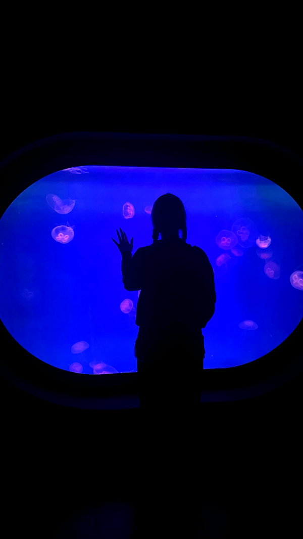 alex.banin instagram image archive image