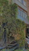 alisen.mari Altpins Profile Picture