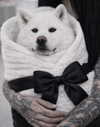 kriskaik Altpins Profile Picture