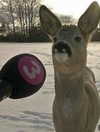 ellaexplicit_ Altpins Profile Picture
