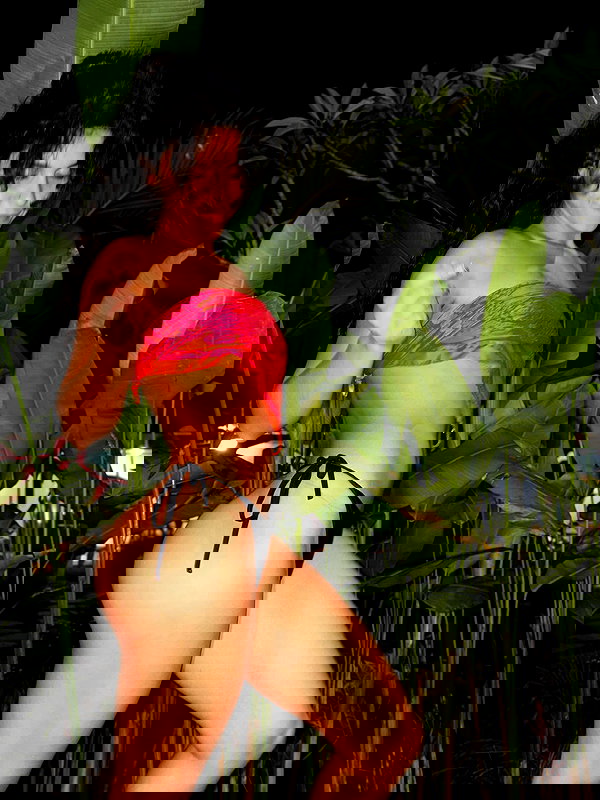 tamagotkri tamagotkri archive image