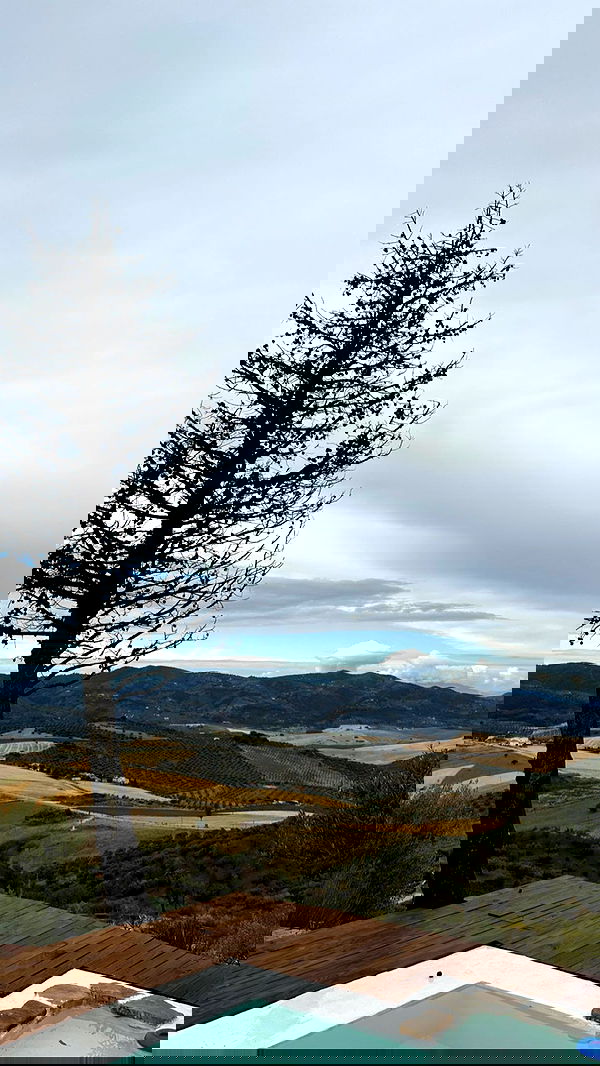 manjolamuriqi manjolamuriqi archive image