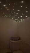 federica.piccinni Altpins Profile Picture