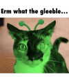 rixiadigivolved Altpins Profile Picture