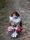 elowen.fawn Altpins Profile Picture