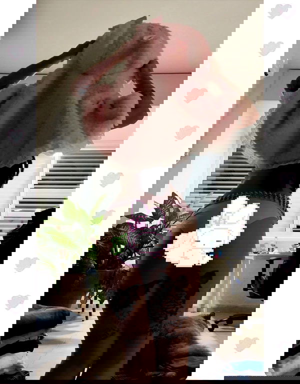 hellokittyangel666 hellokittyangel666 archive image