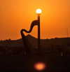noa_blumenfeld Altpins Profile Picture