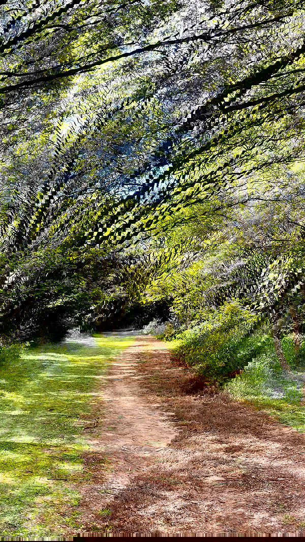 shunli__mei image ~ Altpins