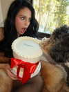realcamillaara Altpins Profile Picture