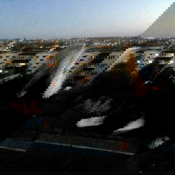 annfigmax image ~ Altpins