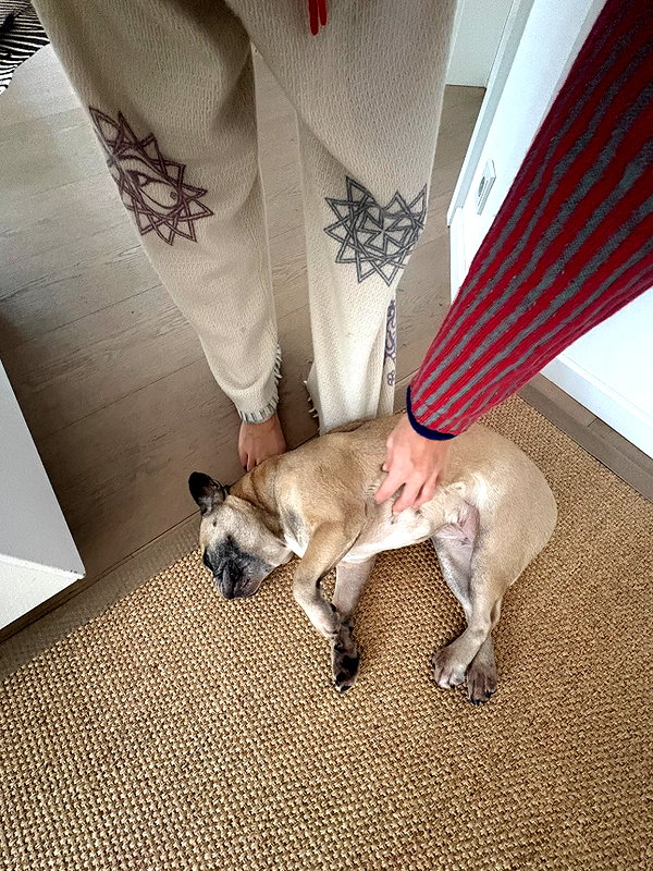 ninastodden instagram image archive image