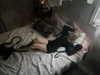 ash.onme Altpins Profile Picture