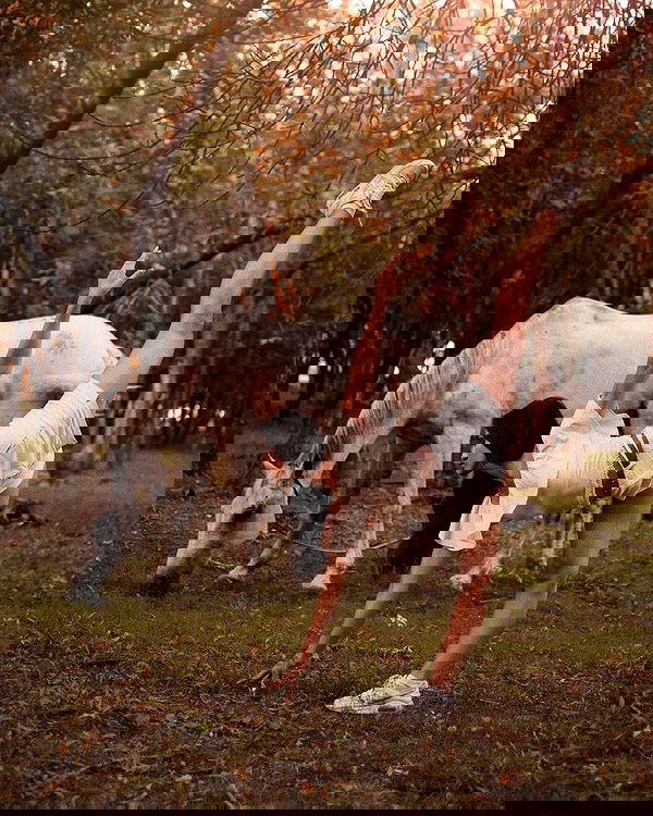 kkulakovaa image ~ Altpins