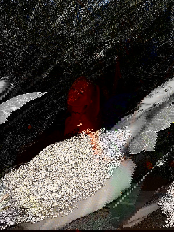 carolinezalog carolinezalog archive image