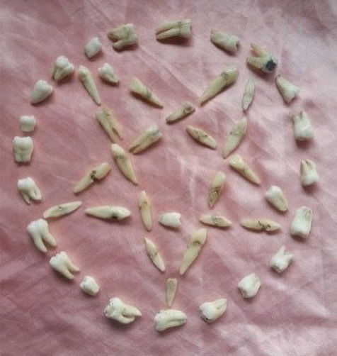 jtilb instagram image archive image