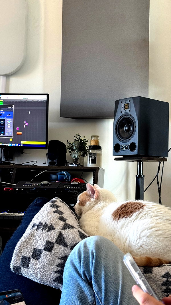 Archived image from @allissashin on Instagram