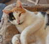 emmi.botta Altpins Profile Picture