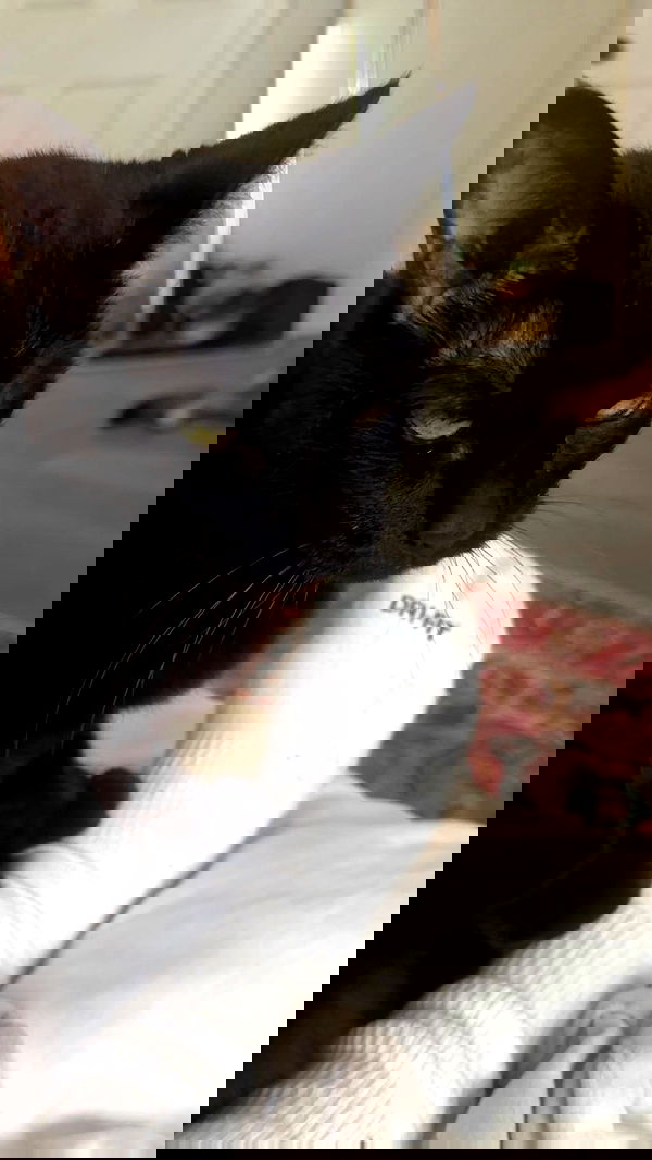 little.warren_ little.warren_ archive image