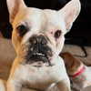 ohheyanastasia Altpins Profile Picture