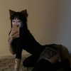 ambrzinha666 Altpins Profile Picture
