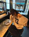 fair_mua Altpins Profile Picture