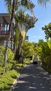 dina_shrago Altpins Profile Picture
