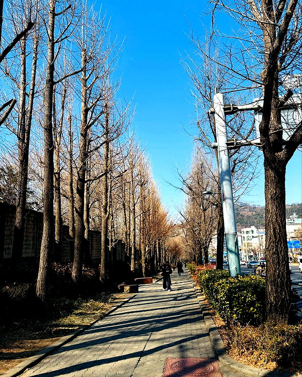 e.shao_417 instagram image archive image