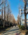 e.shao_417 Altpins Profile Picture