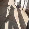 llinolinaa Altpins Profile Picture
