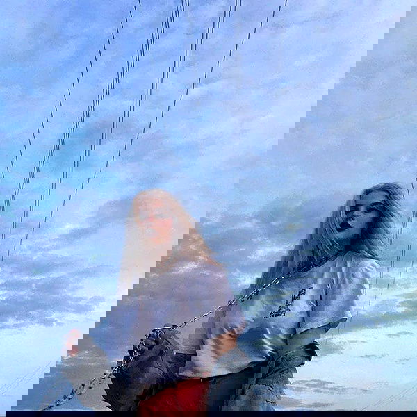 annfigmax image ~ Altpins