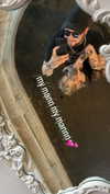 b6ylexx Altpins Profile Picture