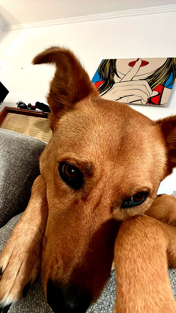 galibilaus instagram image archive image