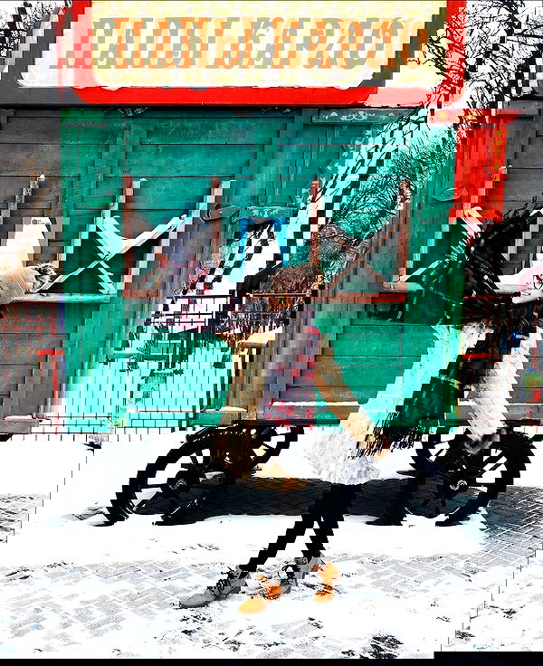 kkulakovaa image ~ Altpins