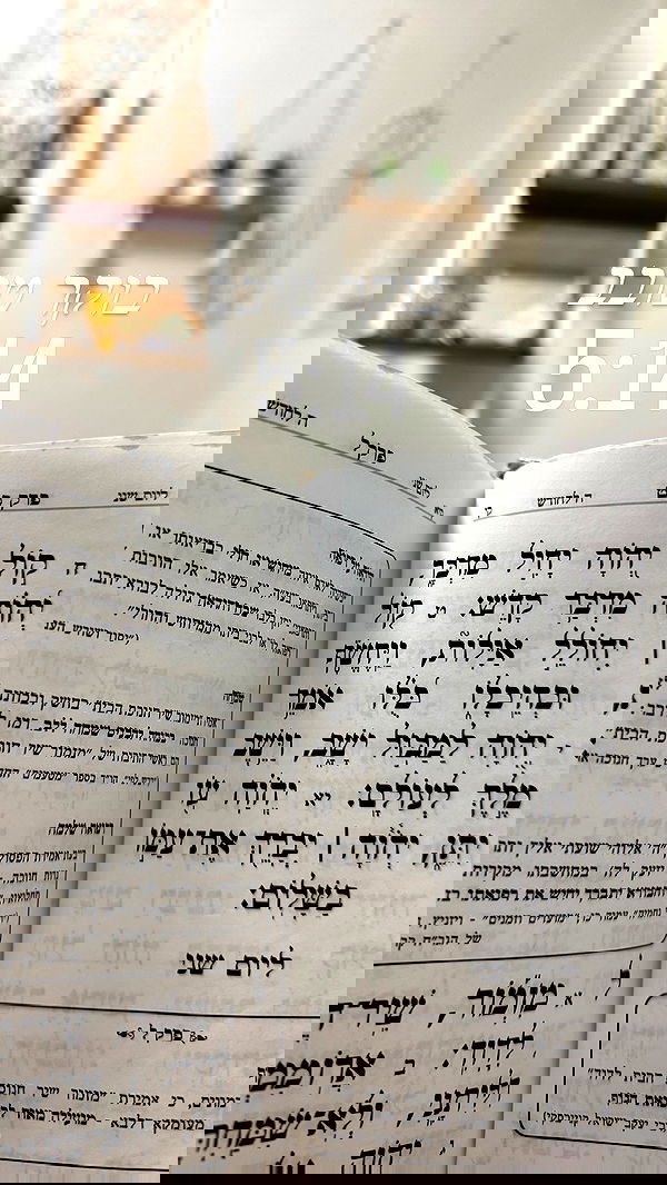 liad.arazi liad.arazi archive image