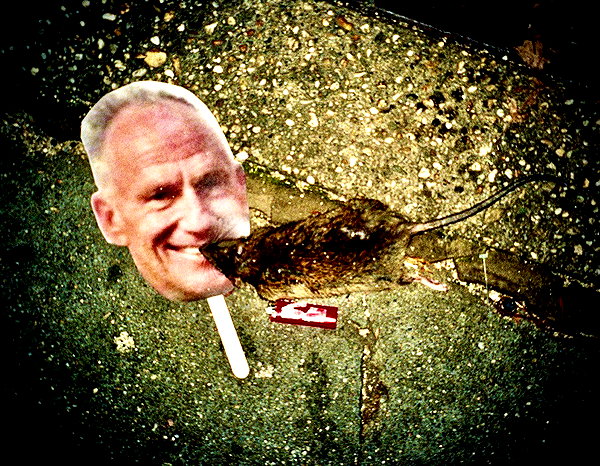 bugz4brainz instagram image archive image