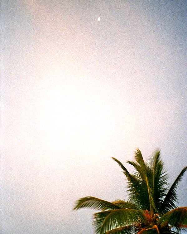 pia__kim instagram image archive image