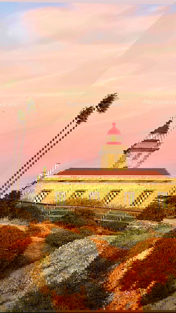 taylor.creeden taylor.creeden archive image