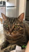 rott3nbambi Altpins Profile Picture
