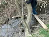 kimberr_0000 Altpins Profile Picture
