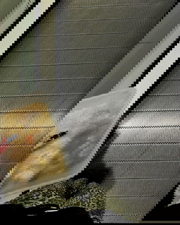 jtilb2 image ~ Altpins