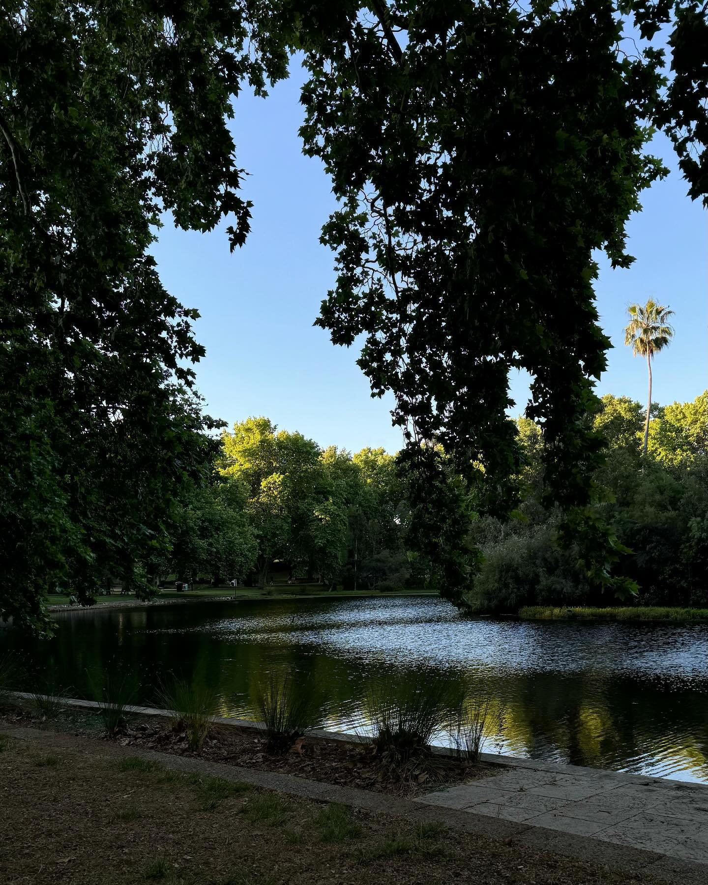 jtilb2 instagram image archive image