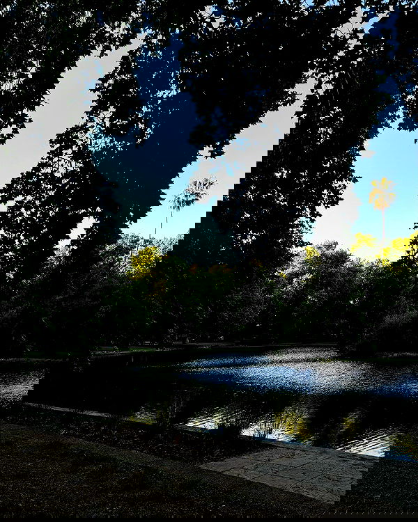 jtilb2 image ~ Altpins