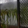 gisellelee8 Altpins Profile Picture