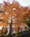 ____sy.02 Altpins Profile Picture